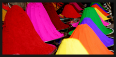 tour india
